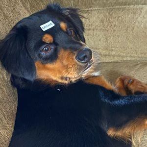 Meet your Posher, Eduardo